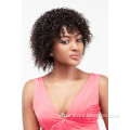 Brazilian virgin Human Hair Lace Front Wig wholesale afro wig , tina turner human hair wig